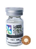 G&G西武单色玳瑁棕Y05