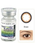 科莱博Clearlab四叶草棕AN24